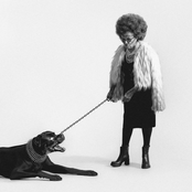 I GOT THE BAG - Single