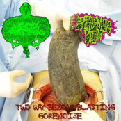 Two Way Bezoar Blasting Gorenoise