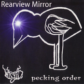 Rear View Mirror: Pecking Order