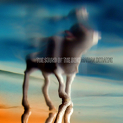 The Sound of the Beat