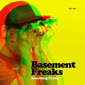Down In The Basement by Basement Freaks