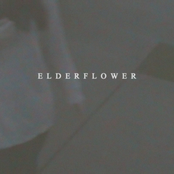 Eldertape II