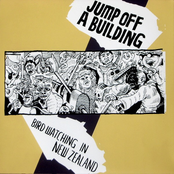 Bird Watching In New Zealand