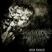 Ashen Paradise