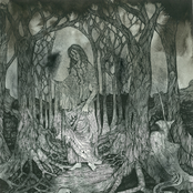 Clinging To The Trees Of A Forest Fire / Nesseria