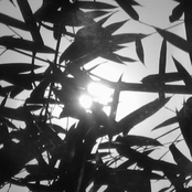 Soundtrack Your Life 1