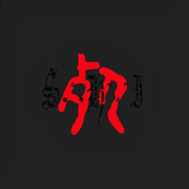 Struggling Harsh Immortals