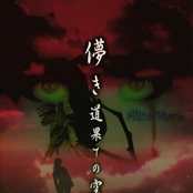 儚き道果ての空