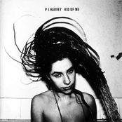 Man-size by Pj Harvey