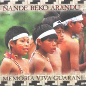 Memoria Viva Guarani