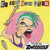 Es lebe der Punk Vol. 12