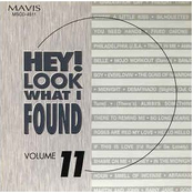 Hey! Look What I Found, Vol.11
