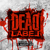Sense Of Slaughter