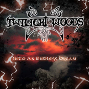Into An Endless Dream