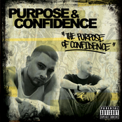 Felony Findings by Purpose & Confidence