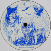 (OAR 003) OAR 003 Vinyl