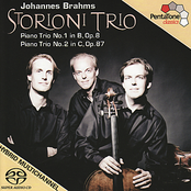 BRAHMS, J.: Piano Trios Nos. 1 and 2 (Storioni Trio)