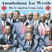 Amadodana Ase Wesile