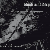 Into The Void by Blood Runs Deep