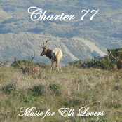 Music for Elk Lovers