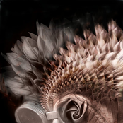 The Perfects "End Of Us"