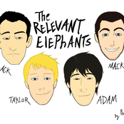 The Relevant Elephants