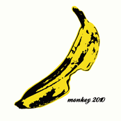 Monkey 2010