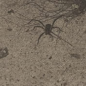 hey its been a while, how have you been?