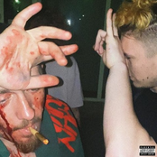 logan avariat pe malu' oltului