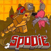 spodie