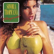 Barbara by Sonora Tropicana