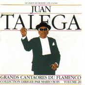 Grands Cantaores Du Flamenco, Vol.20