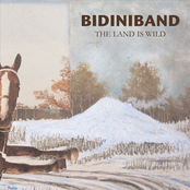 Take A Wild Ride by Bidiniband