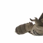 This Was Young Spine