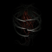 Sacred Killing Machine