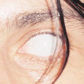 Trust (feat. Nearly Oratorio)