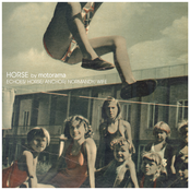 Horse by Motorama