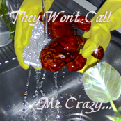 They Won't Call Me Crazy...