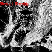 Bestial Worship