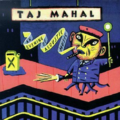 Come On In My Kitchen by Taj Mahal