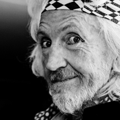 daevid allen weird quartet