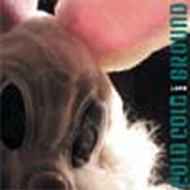 Lamb