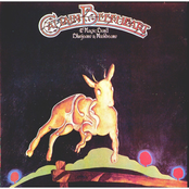 Pompadour Swamp by Captain Beefheart & His Magic Band
