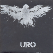 Revolutions Romantik