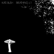 Breathing cover