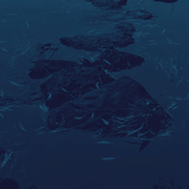Leaving everything behind
