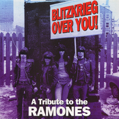 Blitzkrieg Over You!: A Tribute To The Ramones