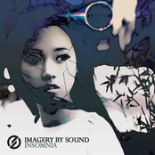 Dancing With The Shadows by Imagery By Sound