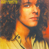 Got My Feet Back On The Ground by Peter Frampton