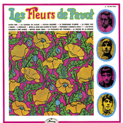 les fleurs de pavot